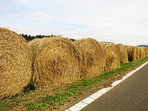 飼料メーカー 様
