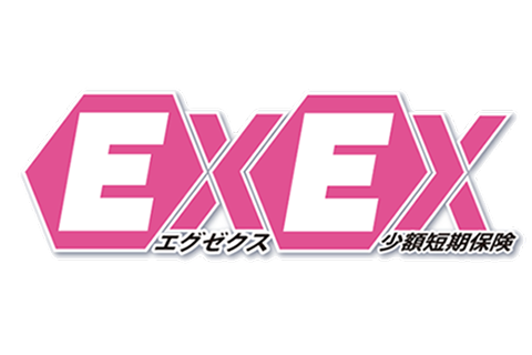 EXEX少額短期保険