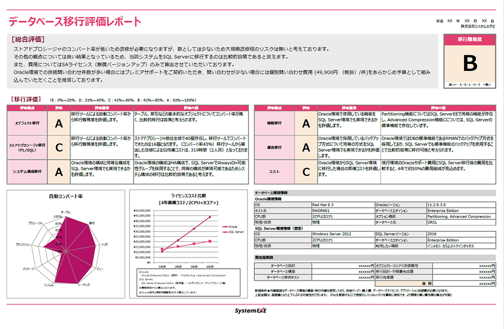 アセスメント報告書サンプル