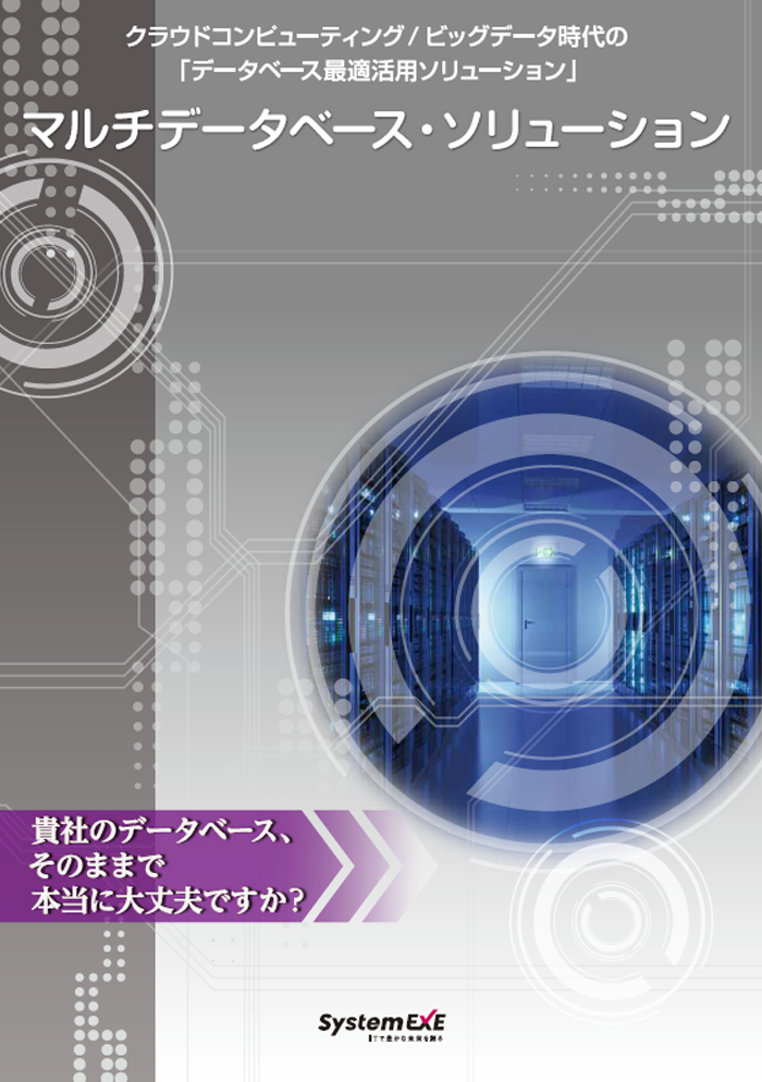 マルチデータベースソリューション：サービス紹介カタログ