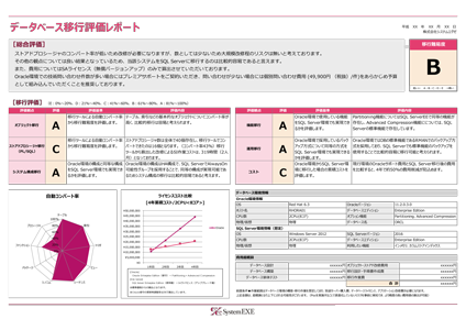 アセスメント報告書サンプル