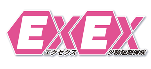 EXEX（エグゼクス）少額短期保険